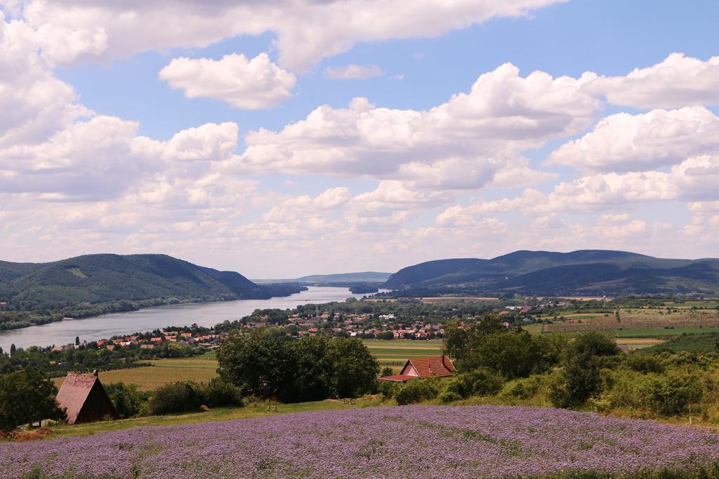 Hotel Natura Hill Panzió&Slow Food Fine Bistro Zebegény Esterno foto