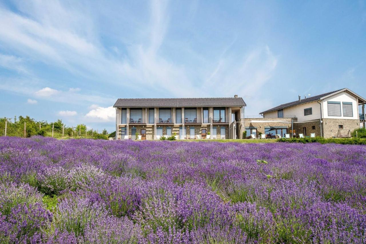 Natura Hill Zebegeny - Butik Szobak Es Etterem Esterno foto
